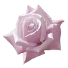 Стикер 6 dollcore