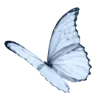 🦋 Эмодзи «Blue emoji» для Telegram