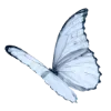 Стикер 49 𓆩𓆪
