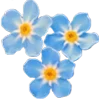Стикер 32 𓆩𓆪