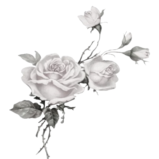 🗝️ Стикер «rose doll» для Telegram