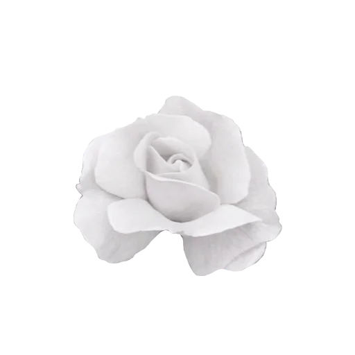 🗝️ Стикер «rose doll» для Telegram