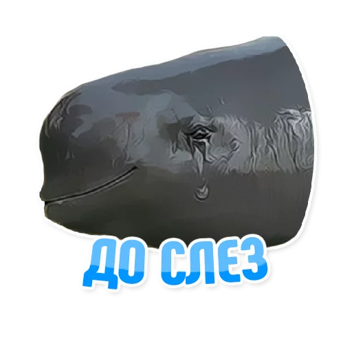 😢 Стикер «Дельфин под спайсом» для Telegram