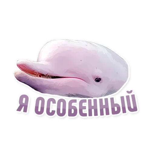 😜 Стикер «Дельфин под спайсом» для Telegram