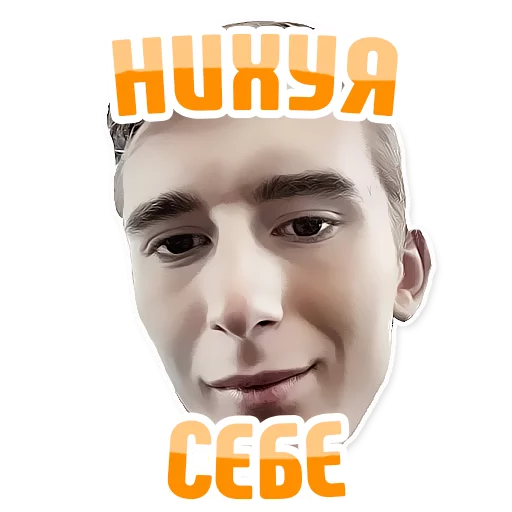 😱 Стикер «Дельфин под спайсом» для Telegram