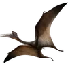 Стикер 19 Dino