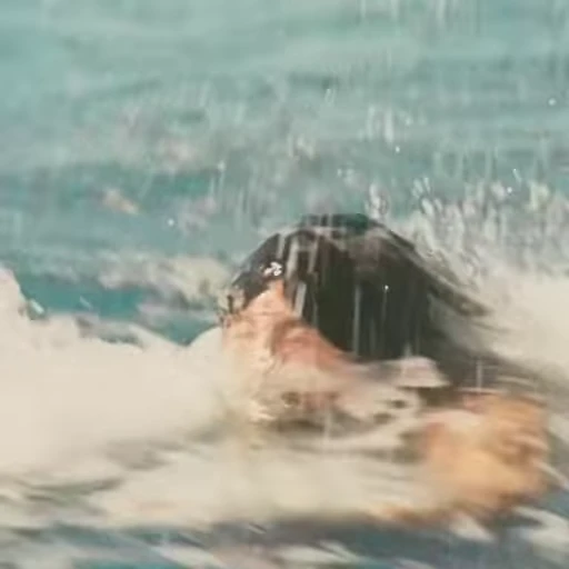 🏊‍♂️ Стикер «You dont mess with the Zohan» для Telegram