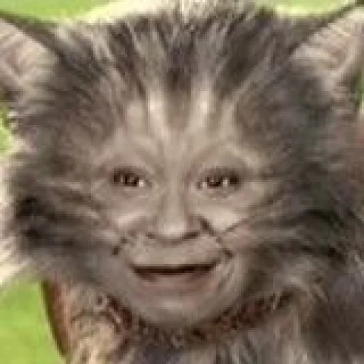 😕 Стикер «funnycute» для Telegram