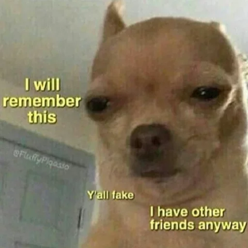 😑 Стикер «Donya’s mood as fuck» для Telegram