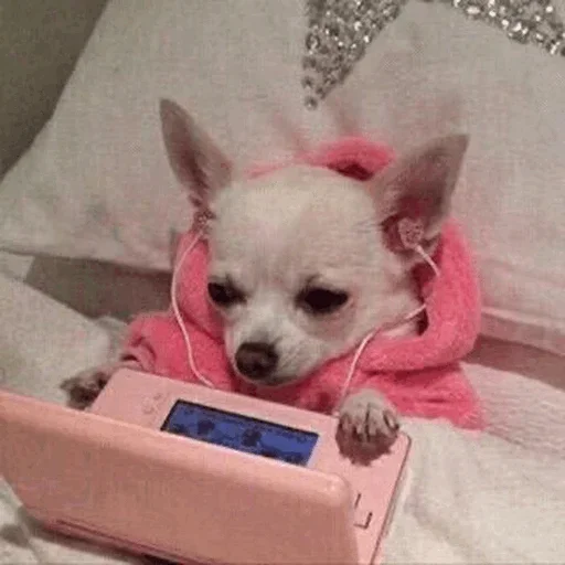 😐 Стикер «Donya’s mood as fuck» для Telegram
