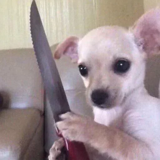 🔪 Стикер «Donya’s mood as fuck» для Telegram