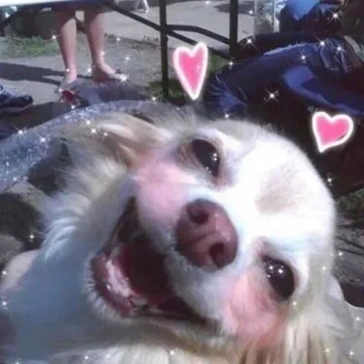 ❤️ Стикер «Donya’s mood as fuck» для Telegram