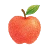 Стикер 41 𝕕𝕠𝕠𝕕𝕝𝕖
