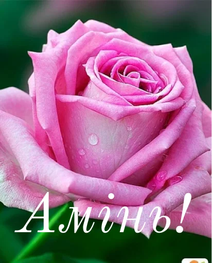 🥰 Стикер «щиро кохаю!)» для Telegram