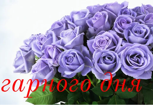 🥰 Стикер «щиро кохаю!)» для Telegram