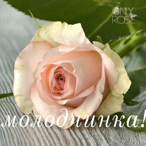 👍 Стикер «щиро кохаю!)» для Telegram
