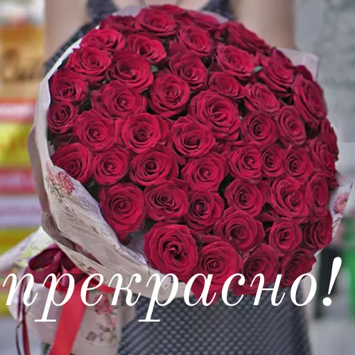 🥰 Стикер «щиро кохаю!)» для Telegram