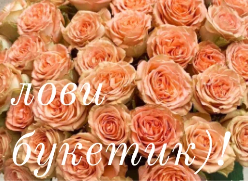 ❤️ Стикер «щиро кохаю!)» для Telegram