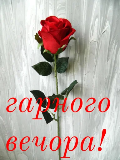 ❤️ Стикер «щиро кохаю!)» для Telegram