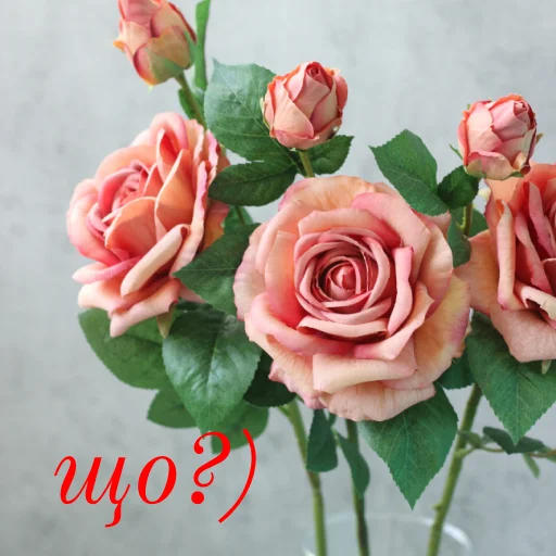 ☺️ Стикер «щиро кохаю!)» для Telegram