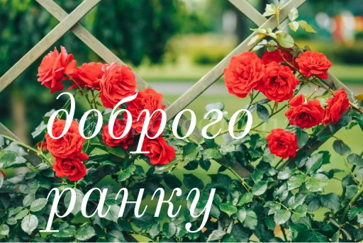 ☀️ Стикер «щиро кохаю!)» для Telegram