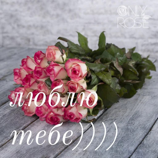 🥰 Стикер «щиро кохаю!)» для Telegram
