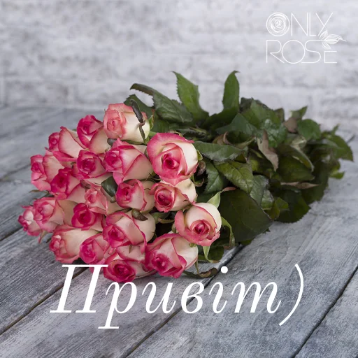 ❤️ Стикер «щиро кохаю!)» для Telegram