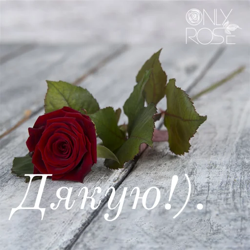 😍 Стикер «щиро кохаю!)» для Telegram
