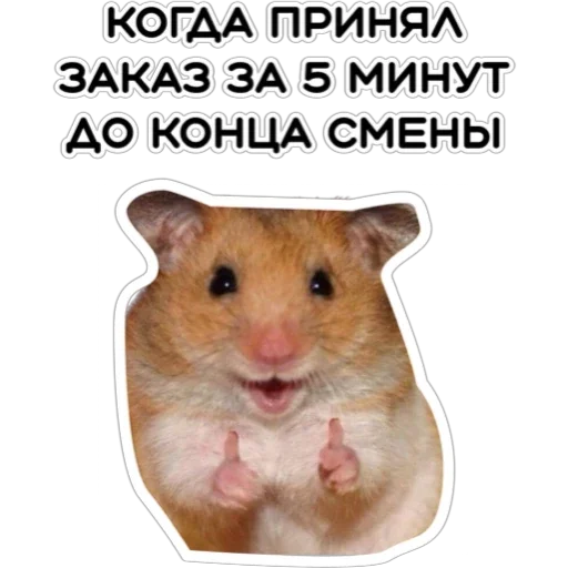 🙃 Стикер «Курьерская сила» для Telegram