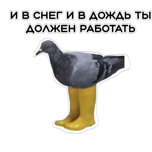 😭 Стикер «Курьерская сила» для Telegram