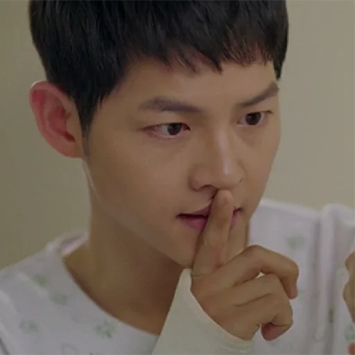 🤫 Стикер «DESCENDANTS OF THE SUN» для Telegram