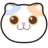 Стикер 7 Douhua Cat