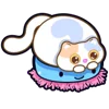Стикер 54 Douhua Cat