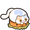 Стикер 56 Douhua Cat