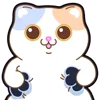 Стикер 43 Douhua Cat