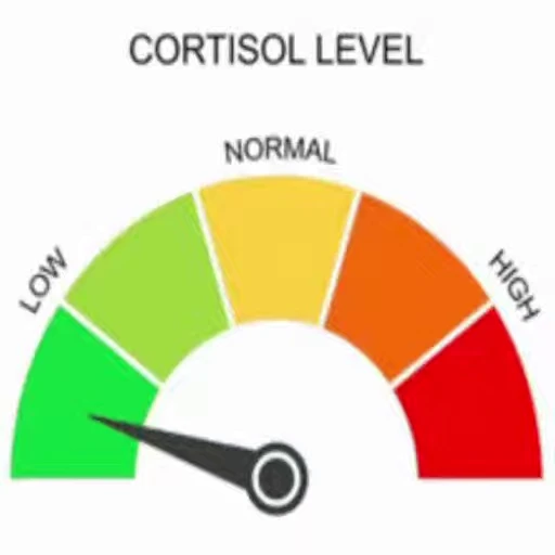 😀 Стикер «Low Cortisol» для Telegram