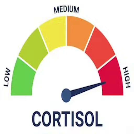 😡 Стикер «Low Cortisol» для Telegram