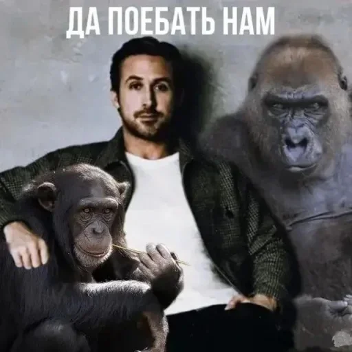🙊 Стикер «Для ВП» для Telegram