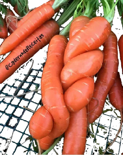 🥕 Стикер «Pacote da» для Telegram