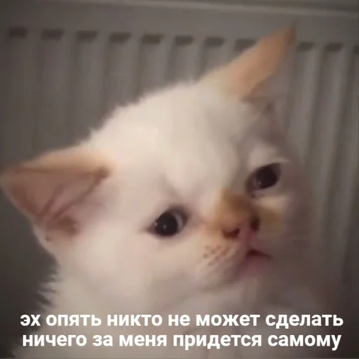 🗿 Стикер «drakonovva» для Telegram