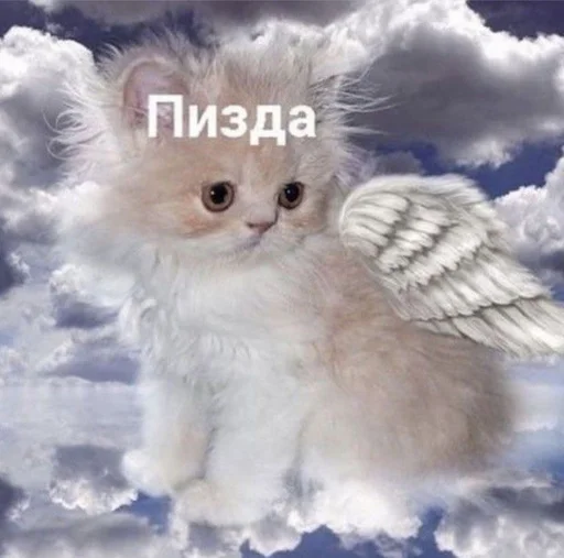 🗿 Стикер «drakonovva» для Telegram