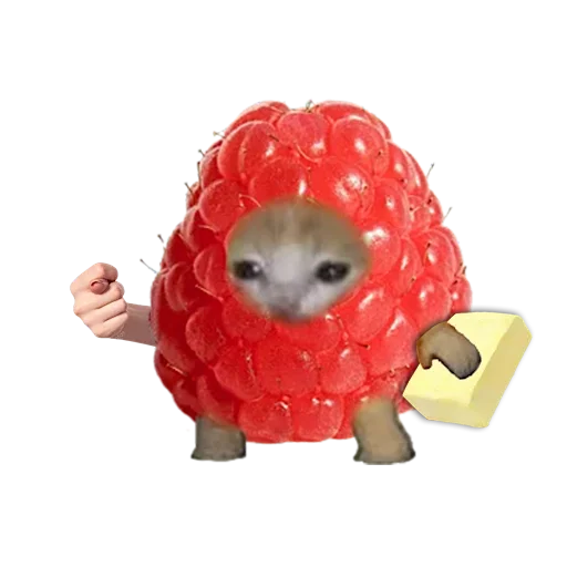 🍓 Стикер «drakonovva» для Telegram