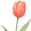 🌷 Эмодзи «Акварельные буквы, цветы» для Telegram