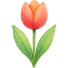 🌷 Эмодзи «Акварельные буквы, цветы» для Telegram
