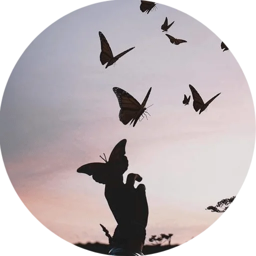 🦋 Стикер «DreamsOnline» для Telegram