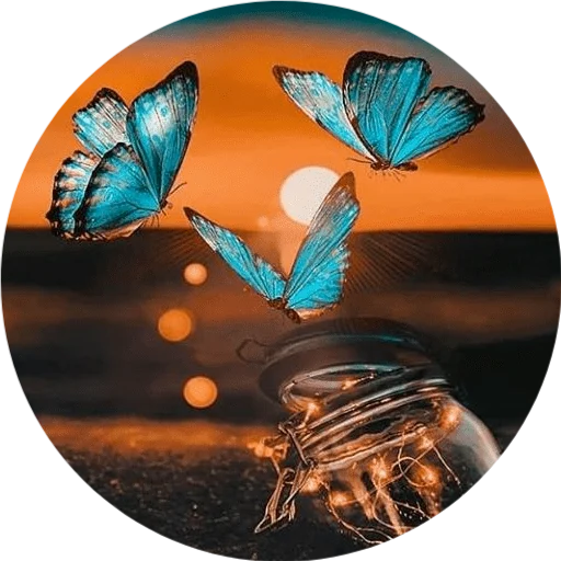 🦋 Стикер «DreamsOnline» для Telegram