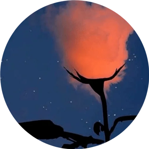 🌹 Стикер «DreamsOnline» для Telegram