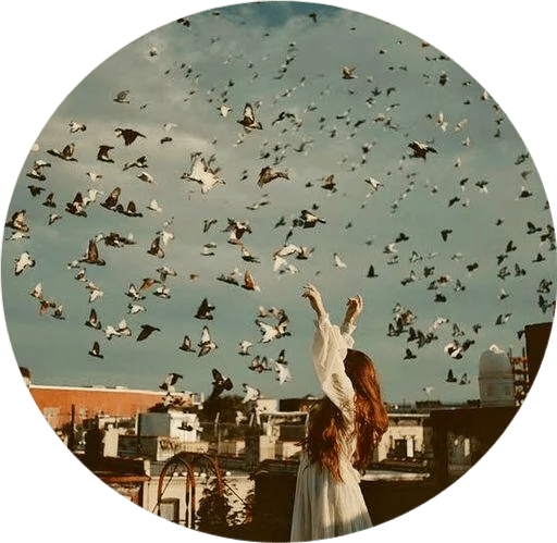 🕊 Стикер «DreamsOnline» для Telegram