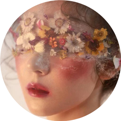 🌼 Стикер «DreamsOnline» для Telegram