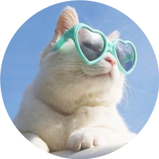 🐱 Стикер «DreamsOnline» для Telegram